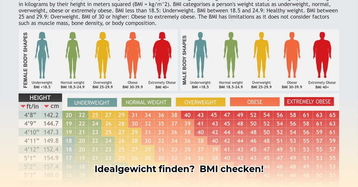 bmi-rechner-frau